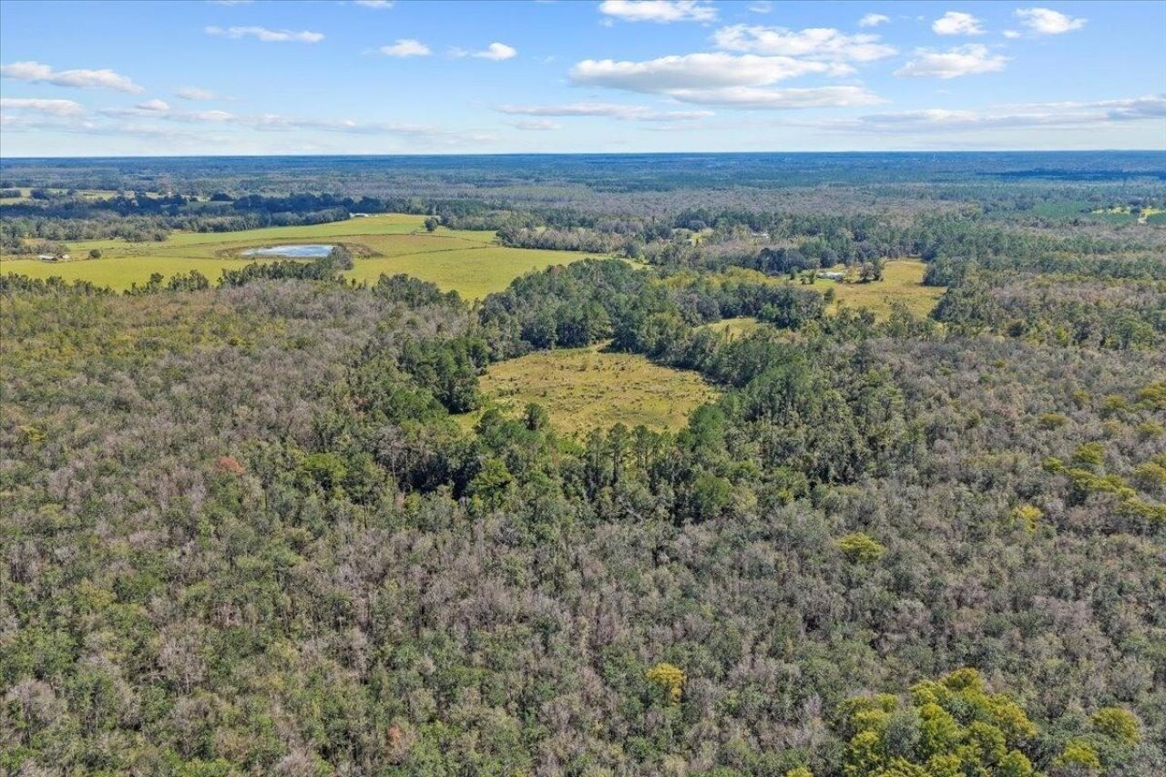 4087 NW Honey Lake Road , Greenville, FL 32331 Photo