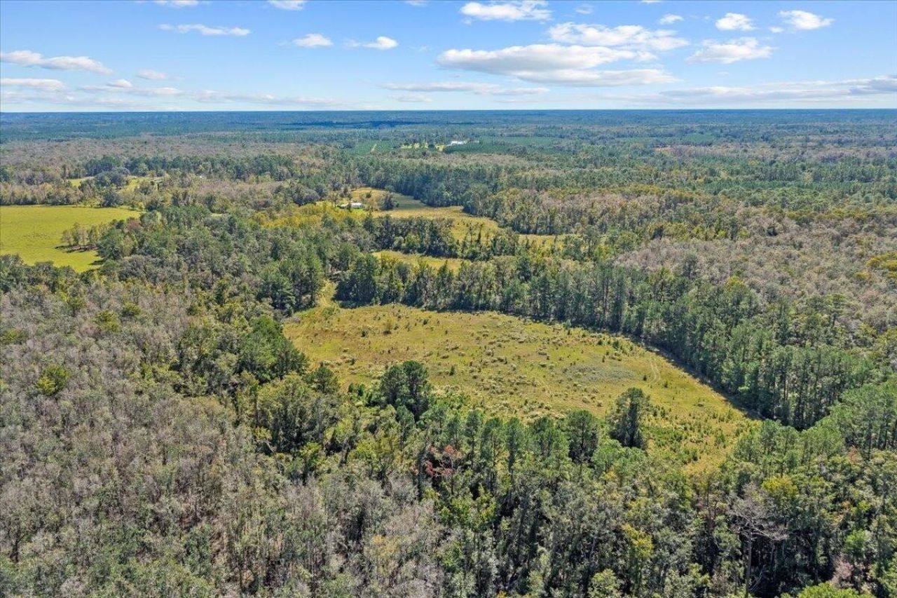 4087 NW Honey Lake Road , Greenville, FL 32331 Photo