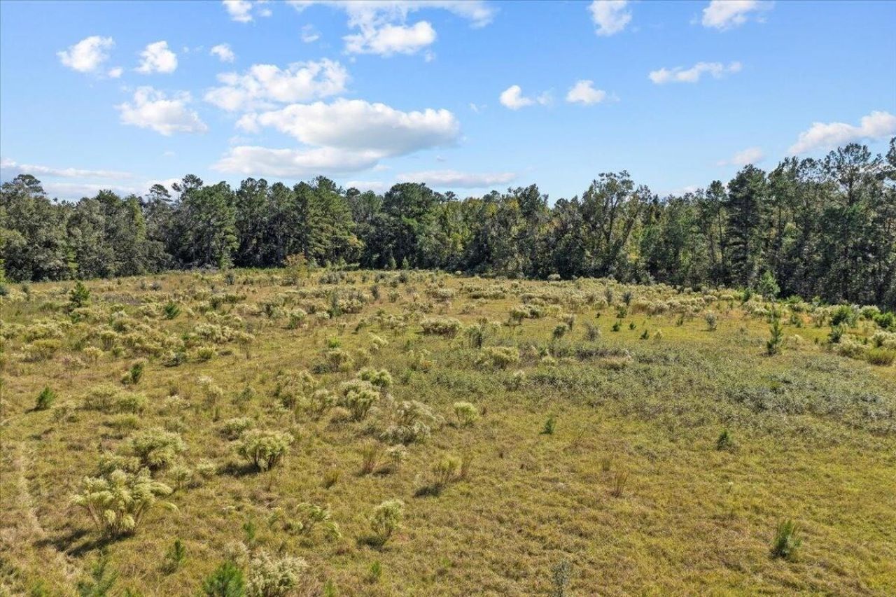 4087 NW Honey Lake Road , Greenville, FL 32331 Photo