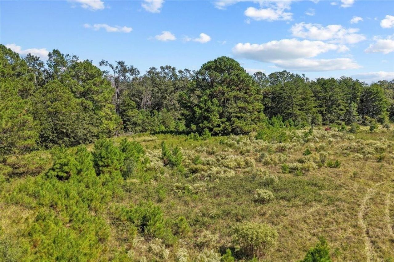 4087 NW Honey Lake Road , Greenville, FL 32331 Photo