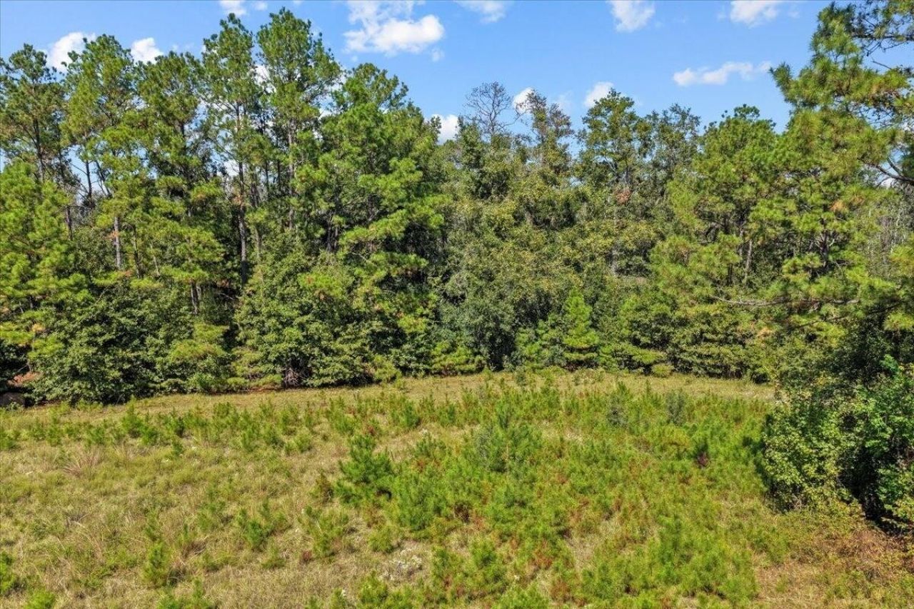 4087 NW Honey Lake Road , Greenville, FL 32331 Photo
