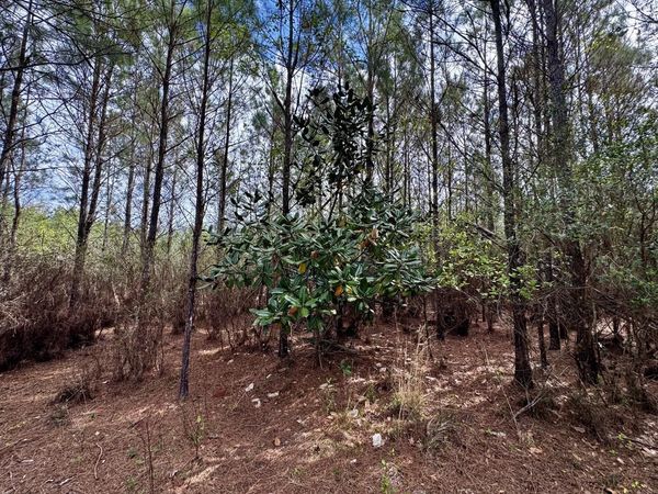 Vacant SW Captain Brown Road , Madison, FL 32340