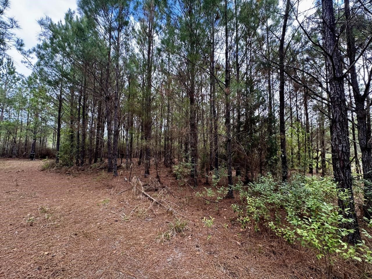 Vacant SW Captain Brown Road , Madison, FL 32340 Photo