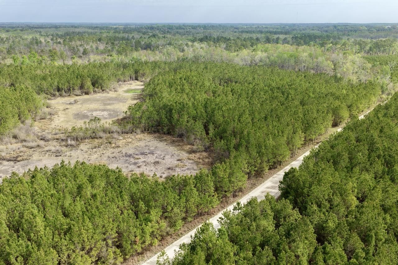 Vacant SW Captain Brown Road , Madison, FL 32340 Photo