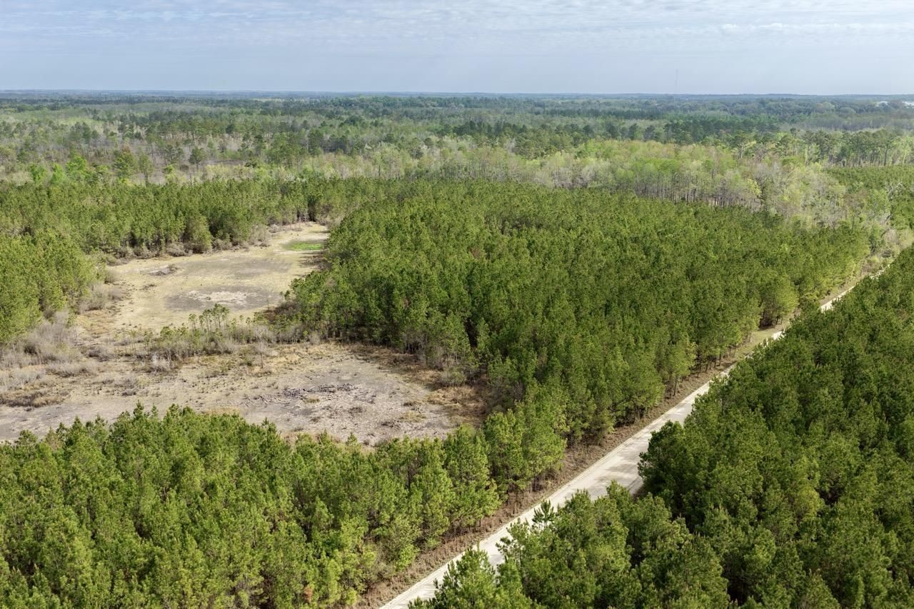 Vacant SW Captain Brown Road , Madison, FL 32340 Photo
