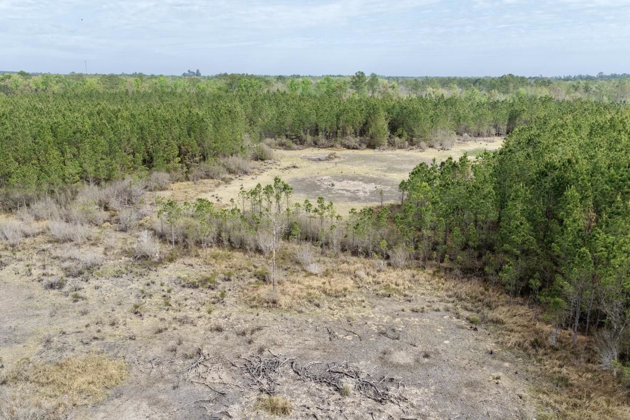 Vacant SW Captain Brown Road , Madison, FL 32340 Photo