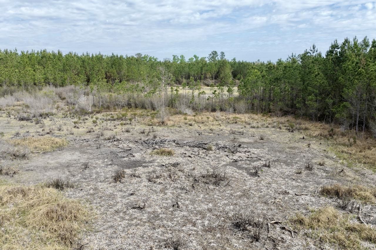 Vacant SW Captain Brown Road , Madison, FL 32340 Photo