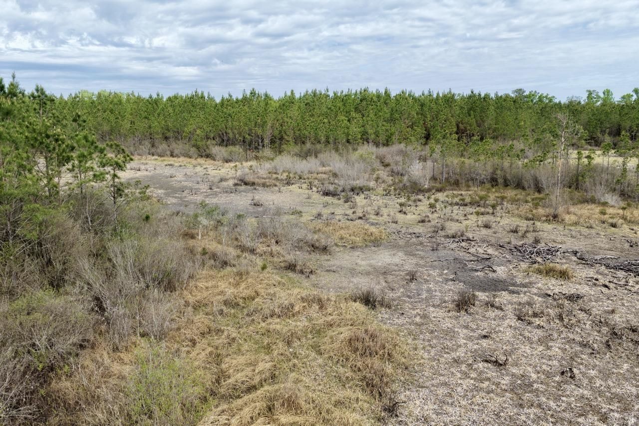 Vacant SW Captain Brown Road , Madison, FL 32340 Photo