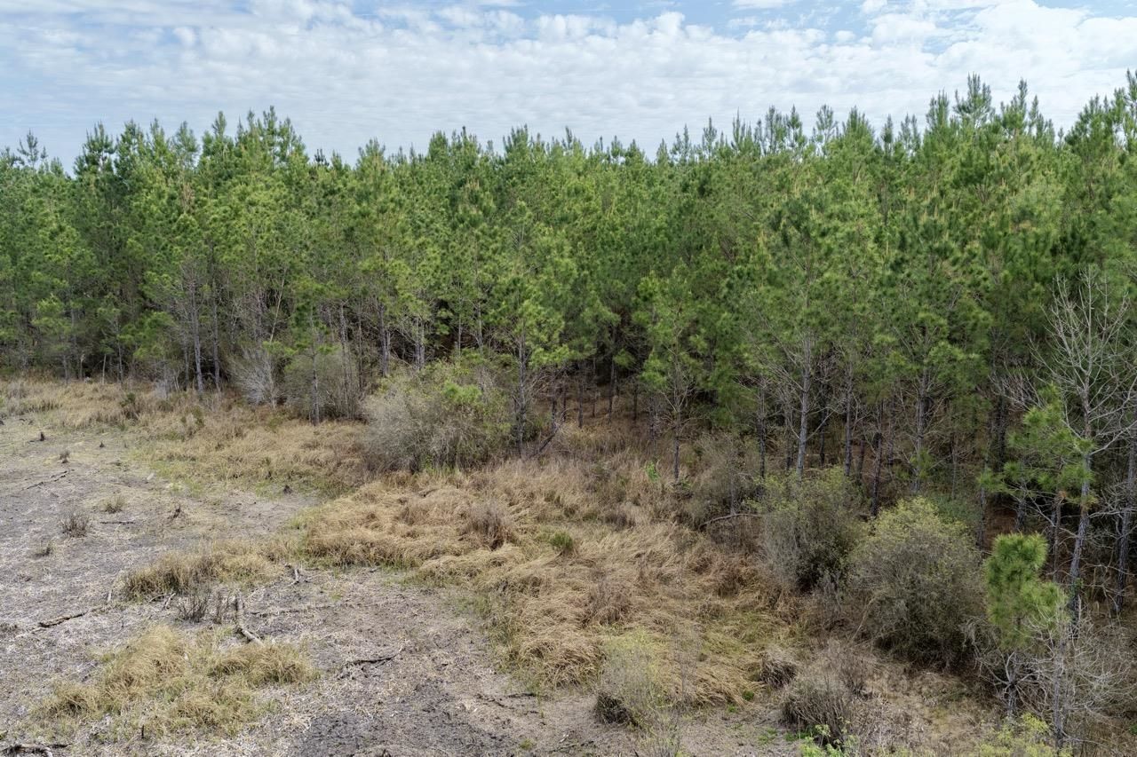 Vacant SW Captain Brown Road , Madison, FL 32340 Photo