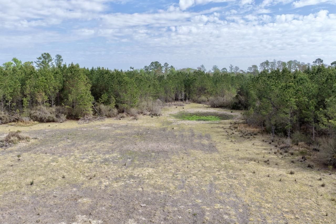 Vacant SW Captain Brown Road , Madison, FL 32340 Photo