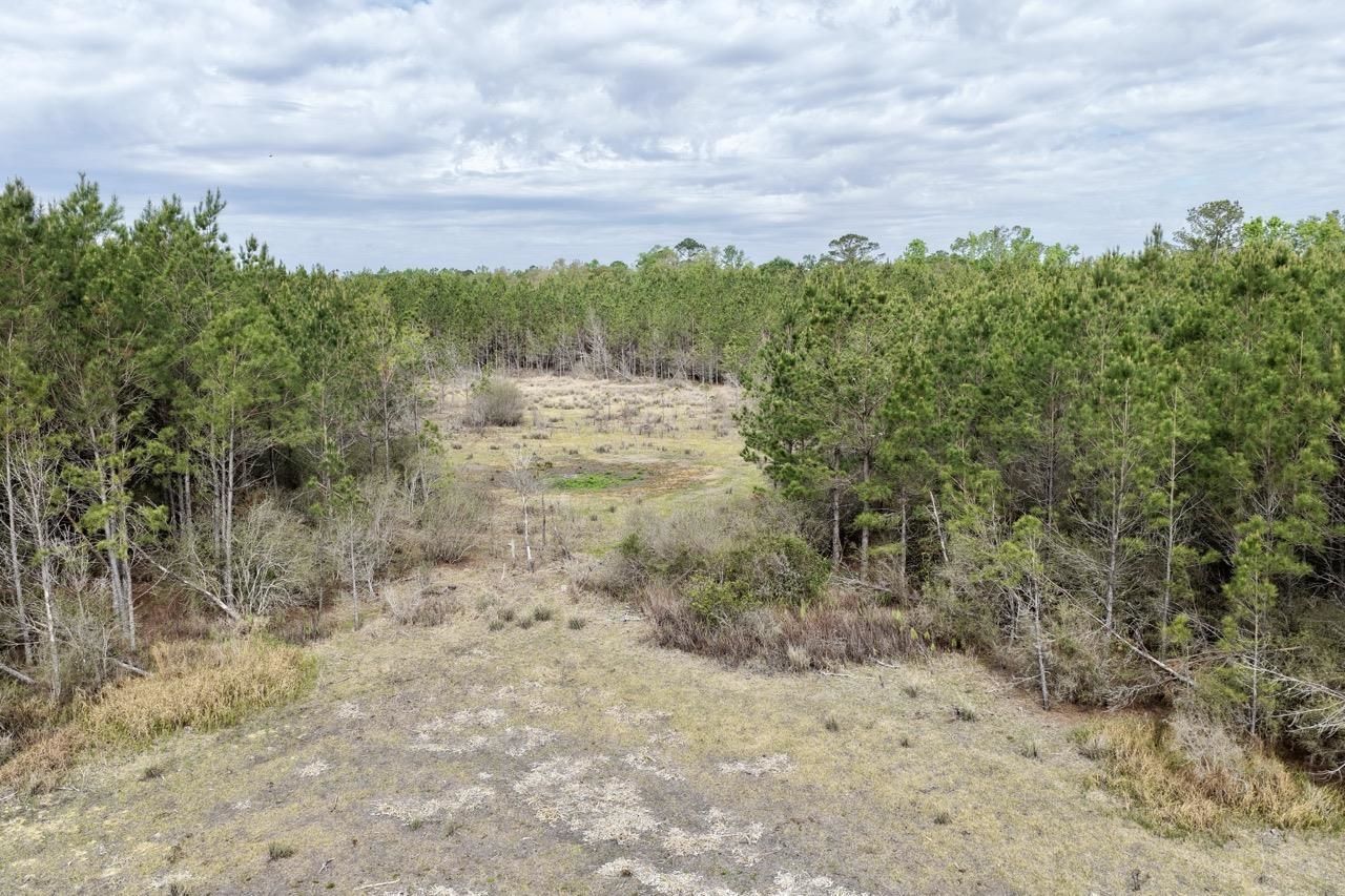 Vacant SW Captain Brown Road , Madison, FL 32340 Photo