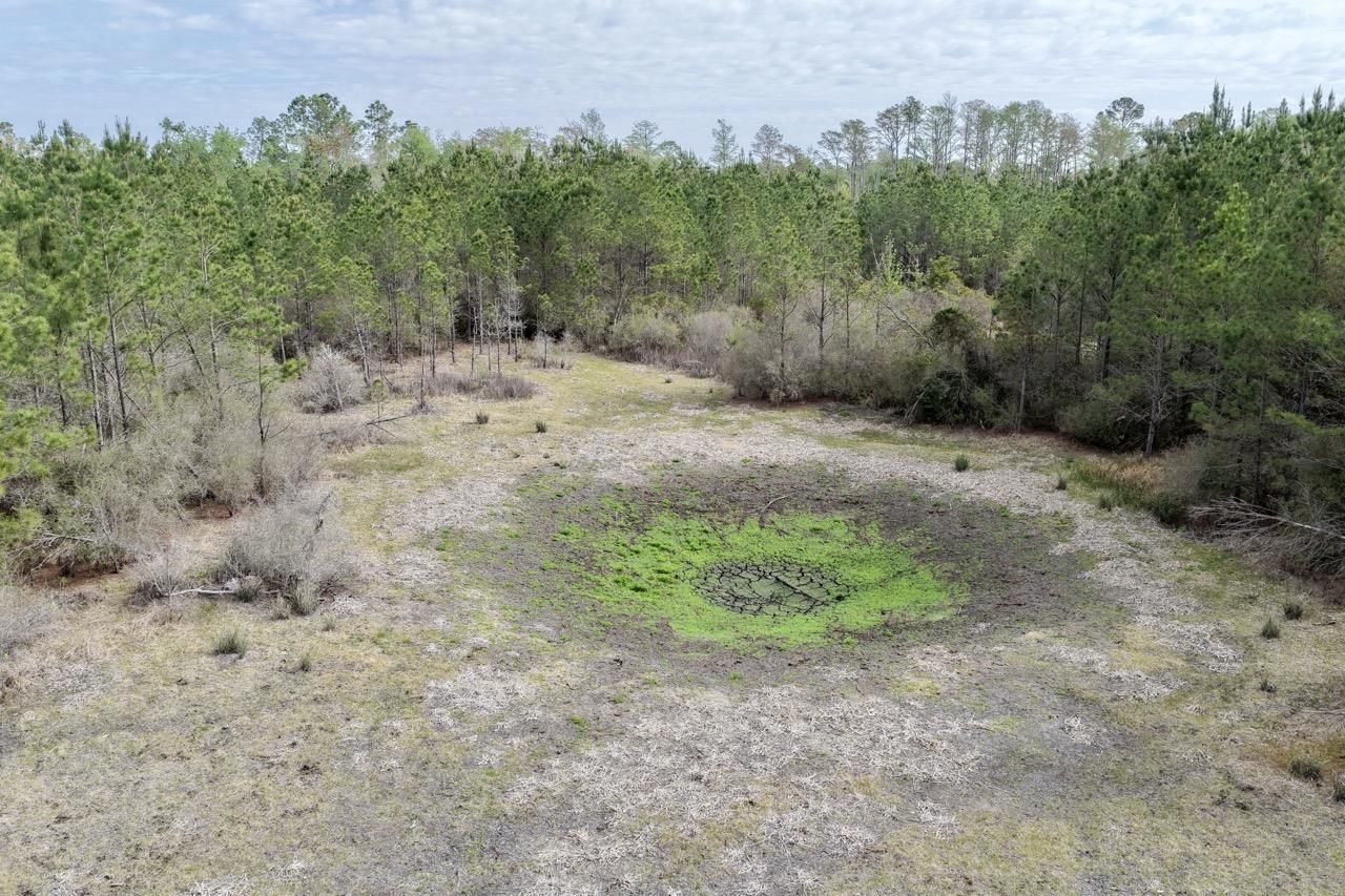 Vacant SW Captain Brown Road , Madison, FL 32340 Photo