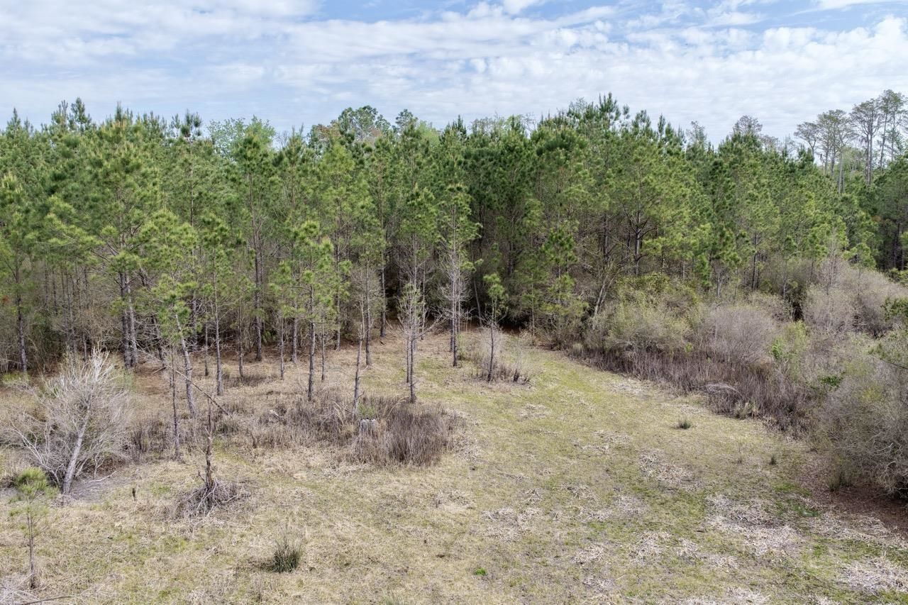 Vacant SW Captain Brown Road , Madison, FL 32340 Photo