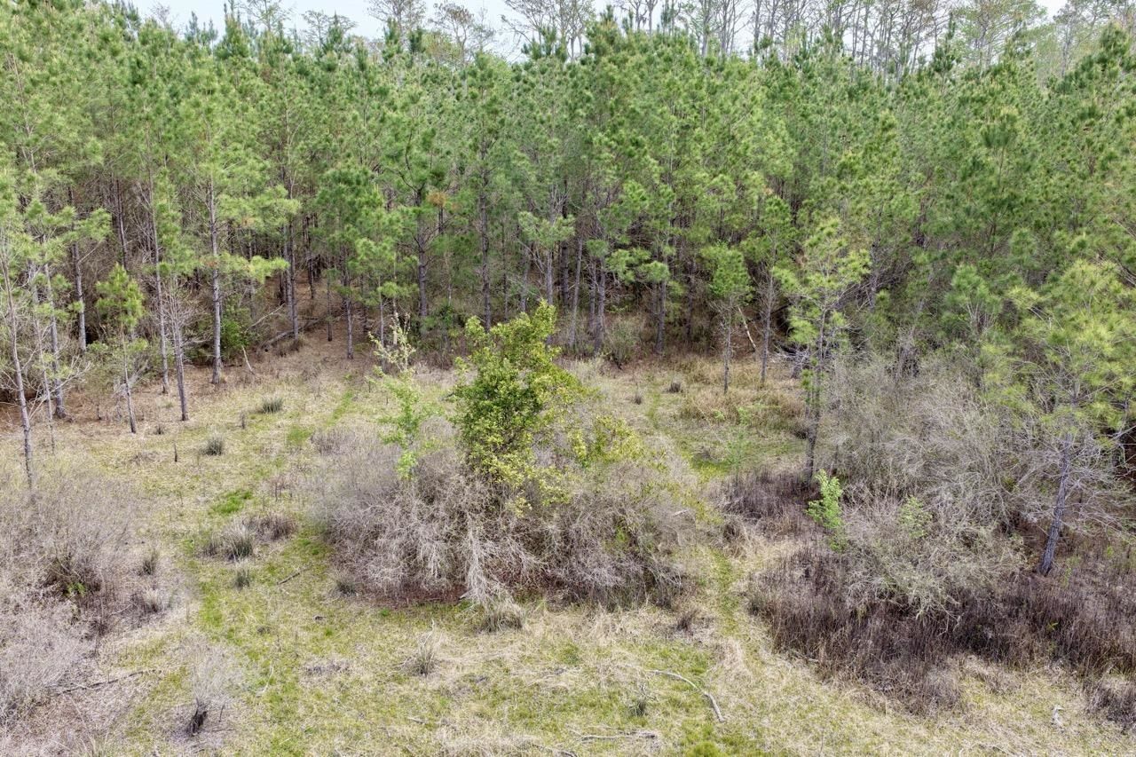 Vacant SW Captain Brown Road , Madison, FL 32340 Photo