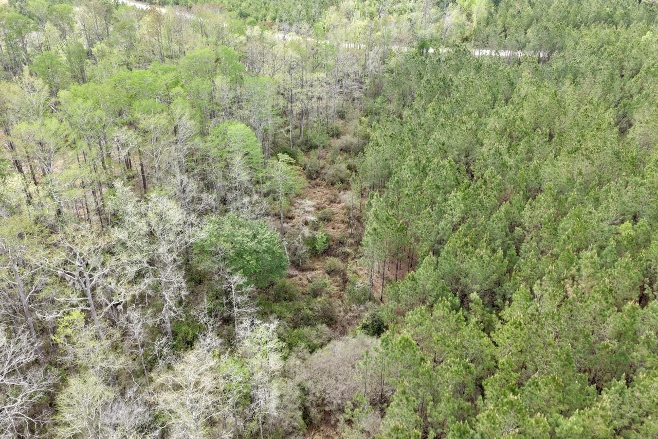 Vacant SW Captain Brown Road , Madison, FL 32340 Photo