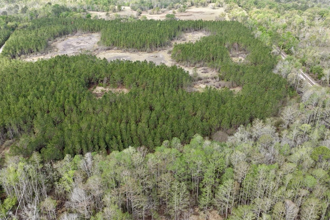 Vacant SW Captain Brown Road , Madison, FL 32340 Photo