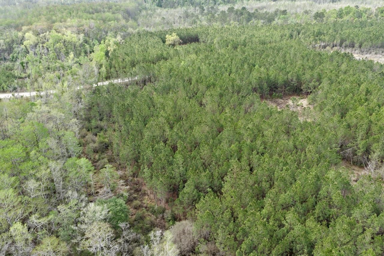 Vacant SW Captain Brown Road , Madison, FL 32340 Photo