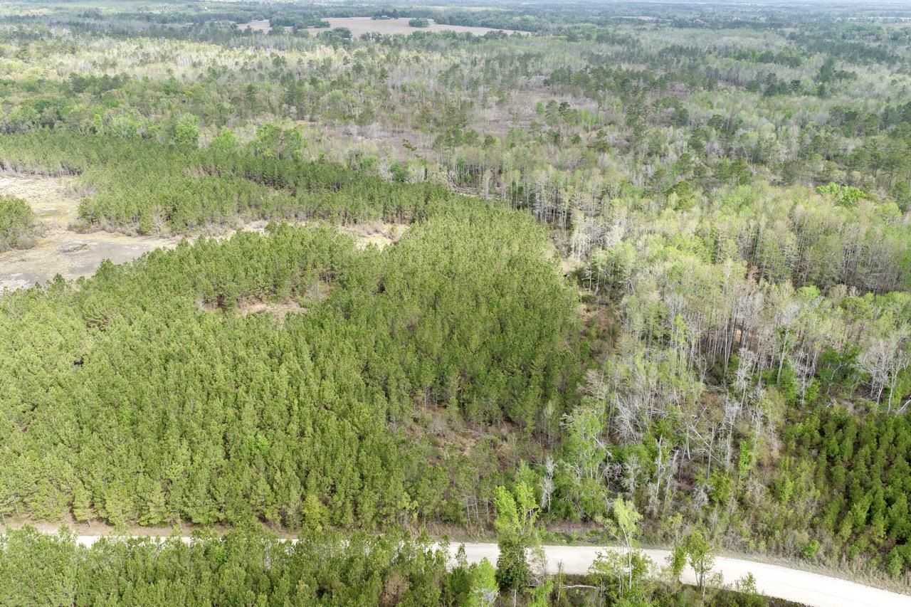 Vacant SW Captain Brown Road , Madison, FL 32340 Photo