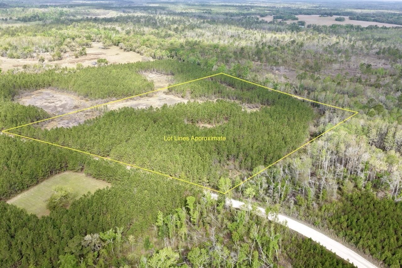 Vacant SW Captain Brown Road , Madison, FL 32340 Photo
