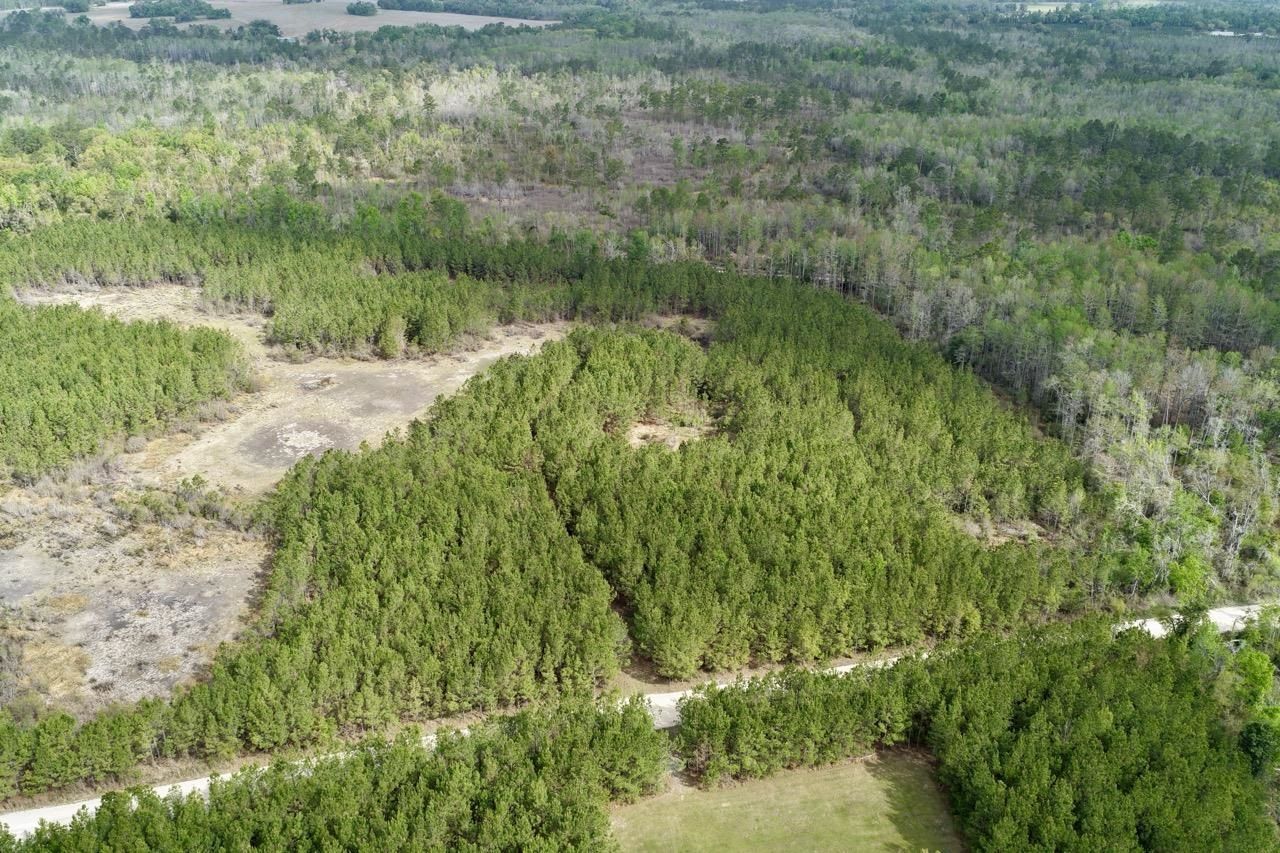 Vacant SW Captain Brown Road , Madison, FL 32340 Photo