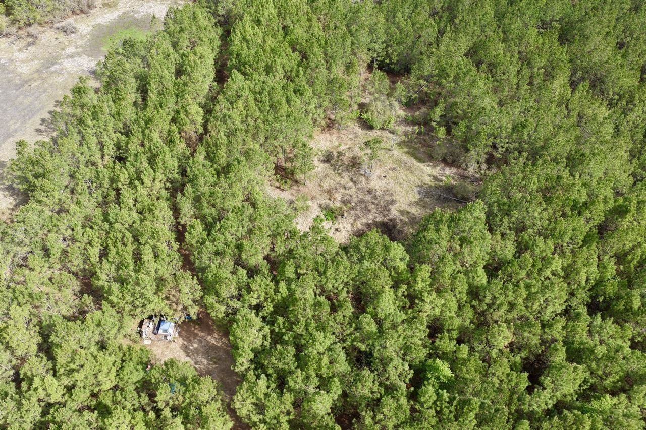 Vacant SW Captain Brown Road , Madison, FL 32340 Photo