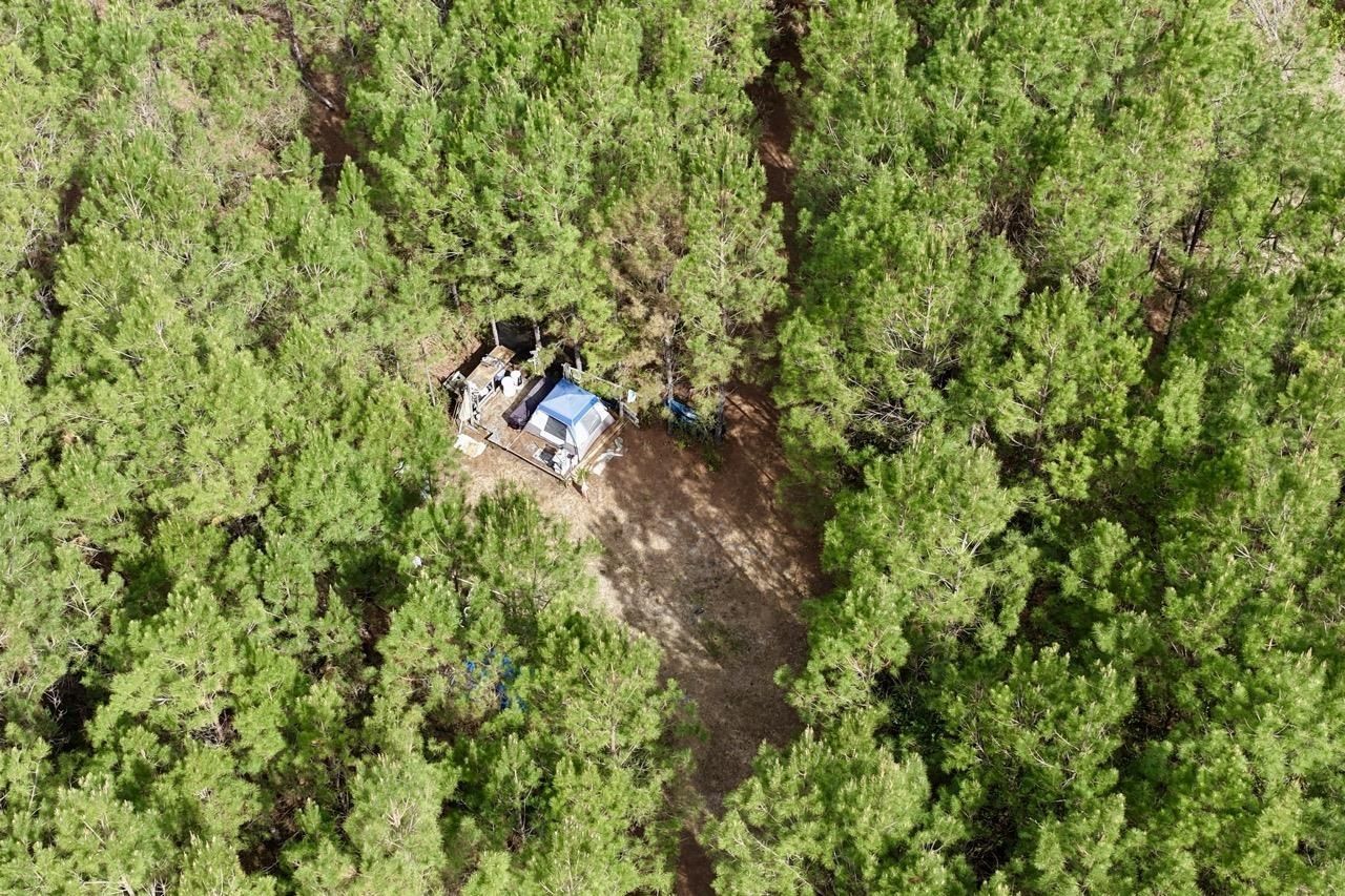 Vacant SW Captain Brown Road , Madison, FL 32340 Photo