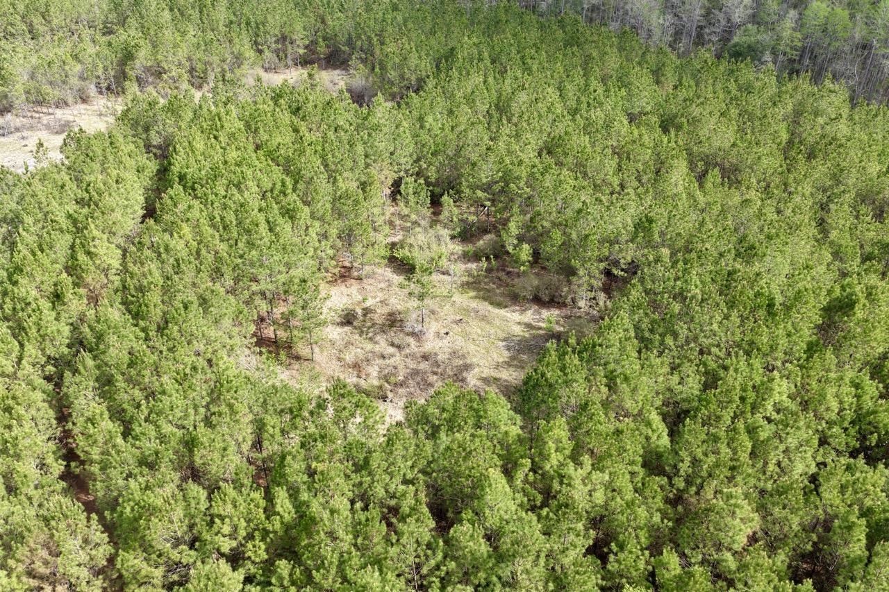 Vacant SW Captain Brown Road , Madison, FL 32340 Photo