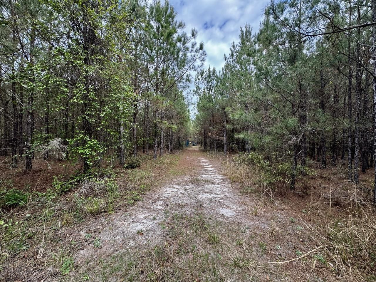 Vacant SW Captain Brown Road , Madison, FL 32340 Photo