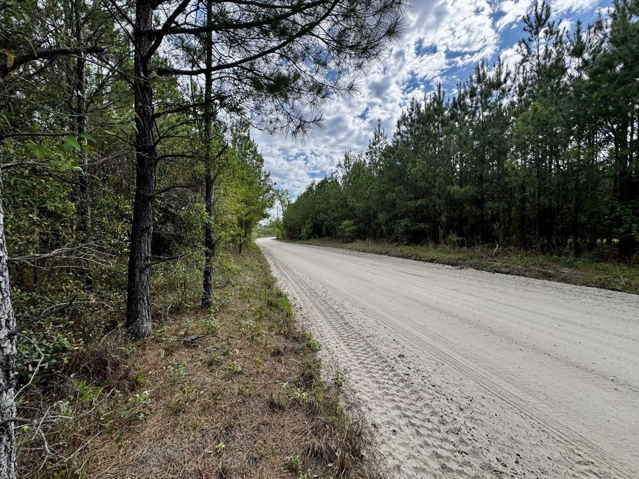 Vacant SW Captain Brown Road , Madison, FL 32340 Photo