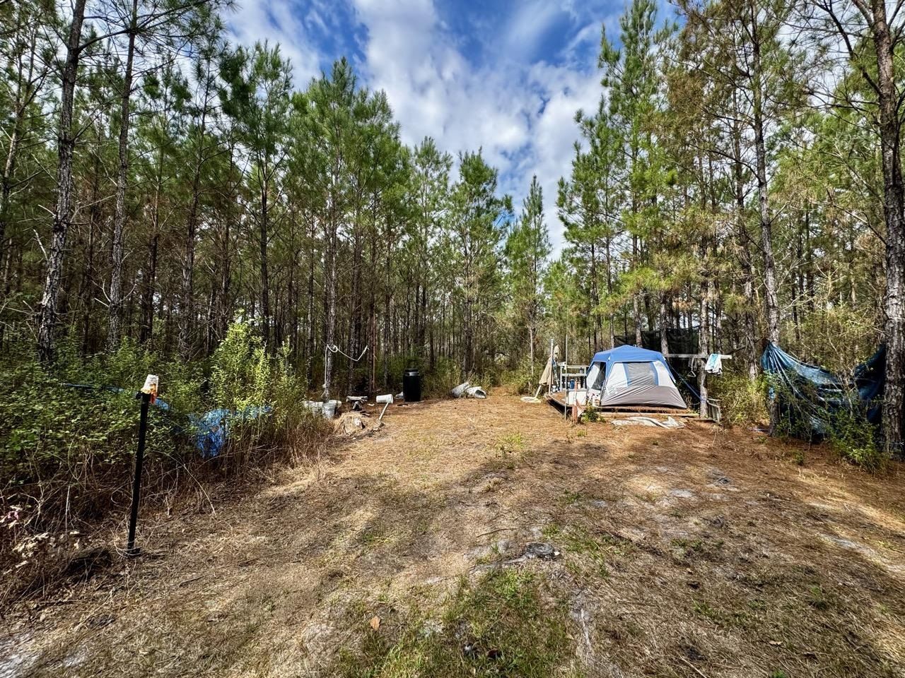 Vacant SW Captain Brown Road , Madison, FL 32340 Photo
