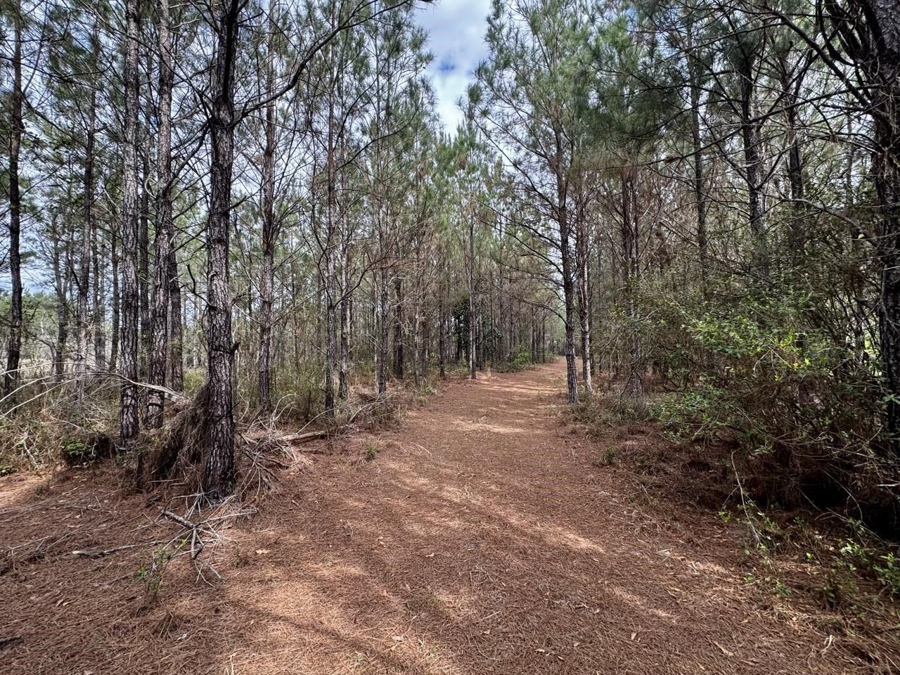 Vacant SW Captain Brown Road , Madison, FL 32340 Photo