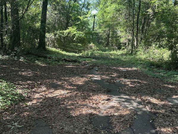 XX GOLDWIRE Road, Quincy, FL 32351