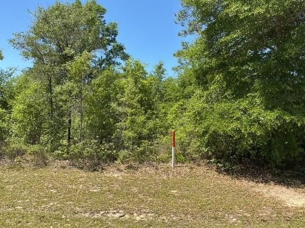 Country Club Boulevard , Chipley, FL 32428