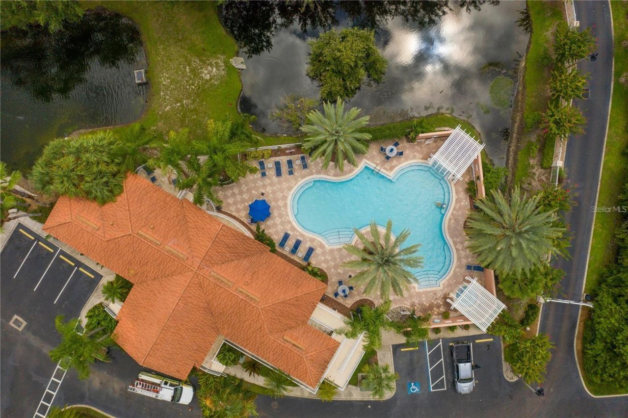 12077 Gandy Boulevard N, Unit 332, Saint Petersburg, FL 33702 Photo