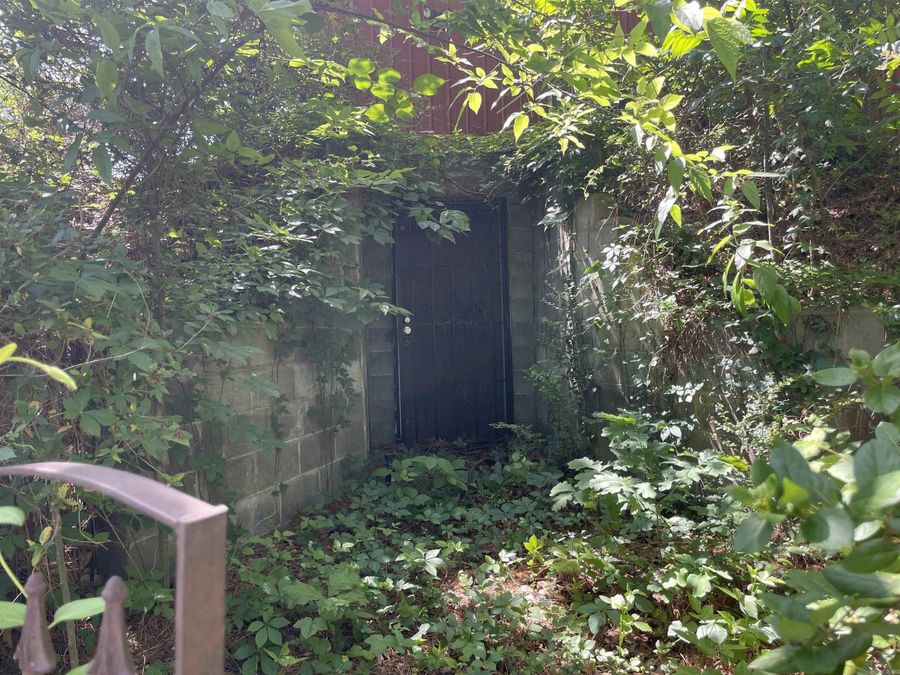 Property Image 41