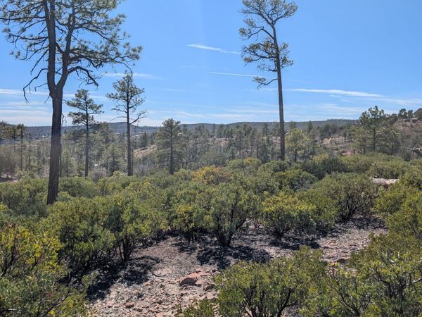958 NAVAJO Trail, Unit 435, Show Low, AZ 85901