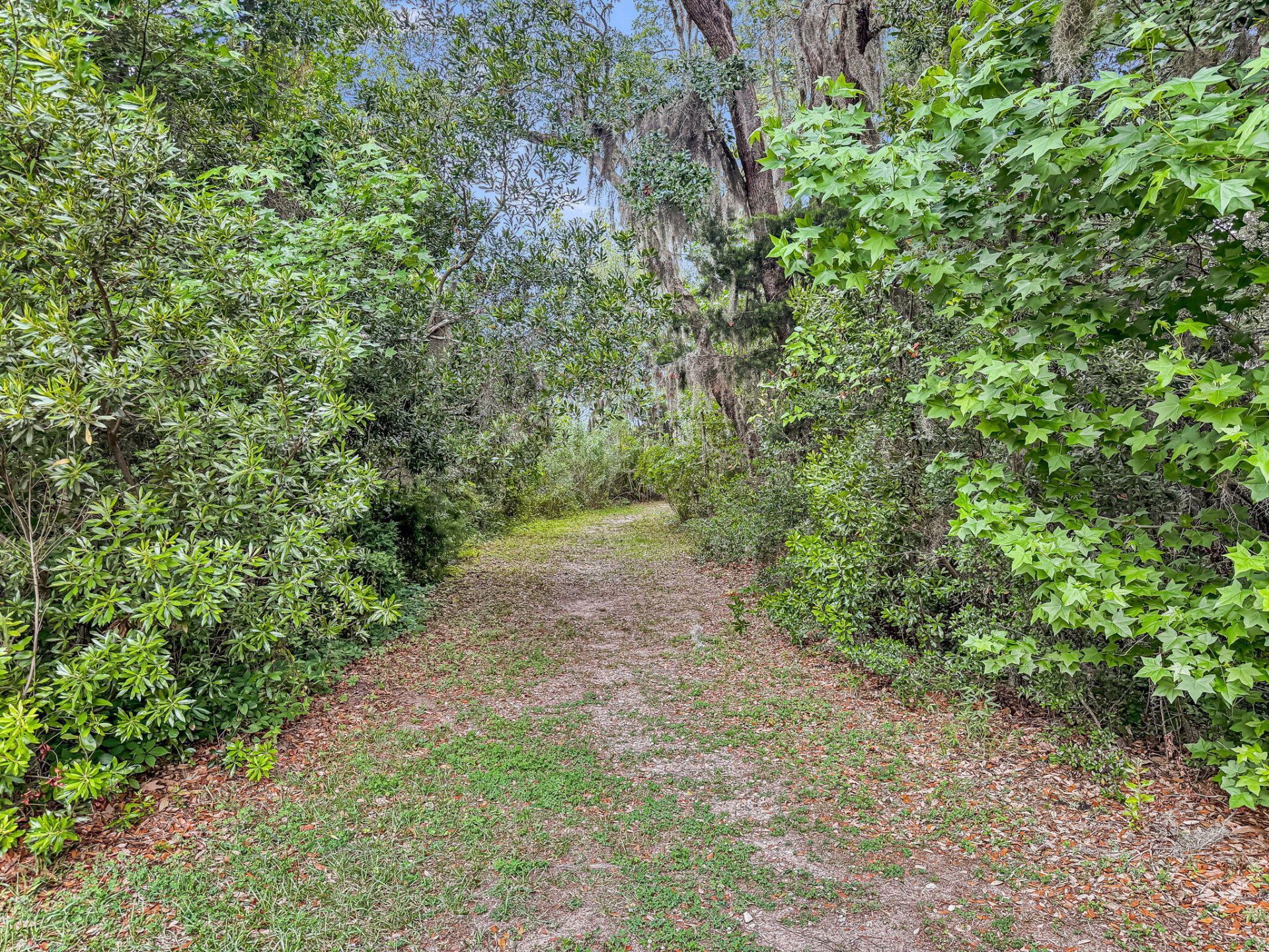 1504 Royal Colony Road Photo 35