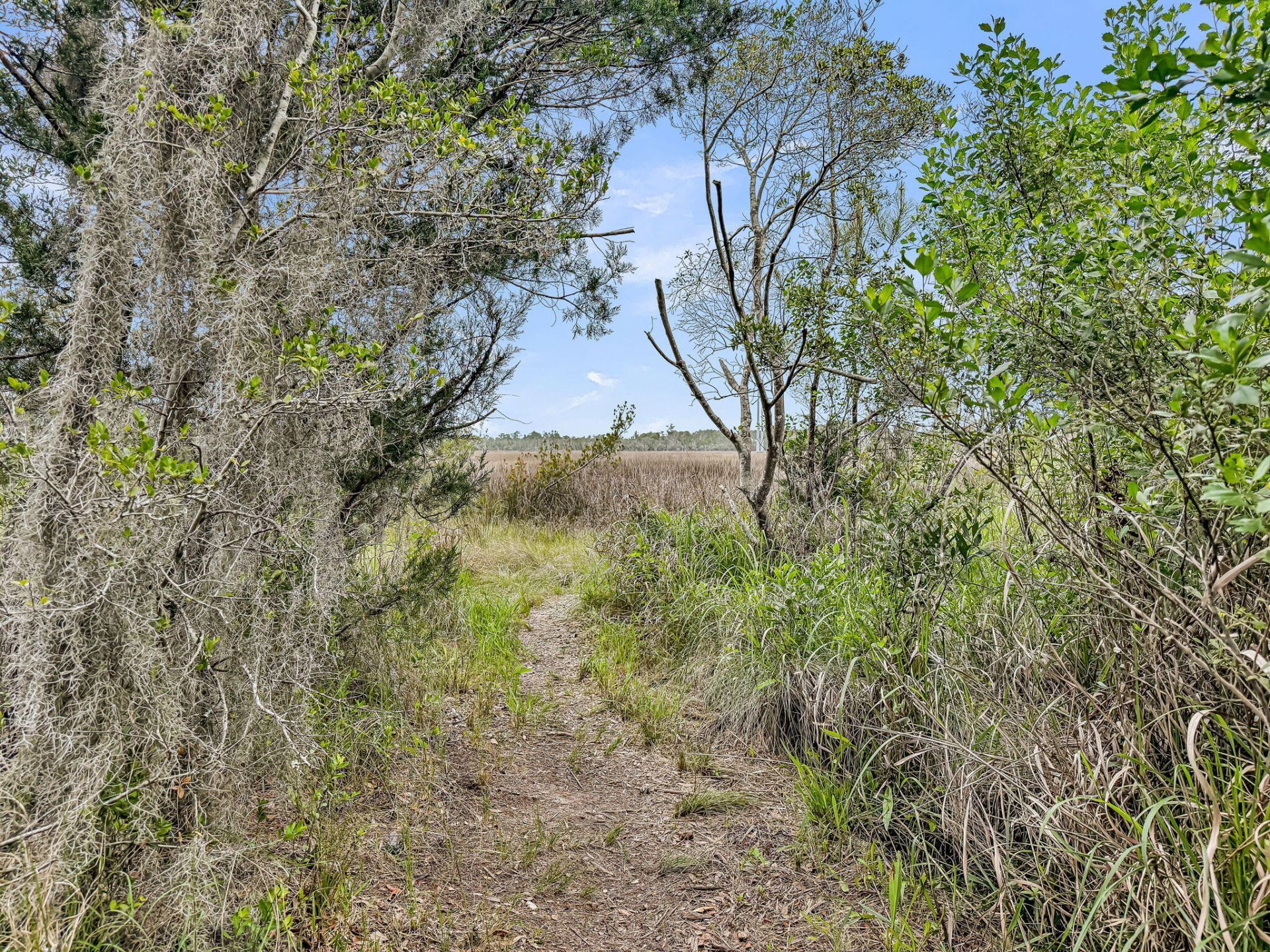 1504 Royal Colony Road Photo 36