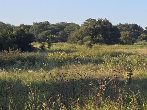 165 Guadalupe Drive , Oglesby, TX 76561