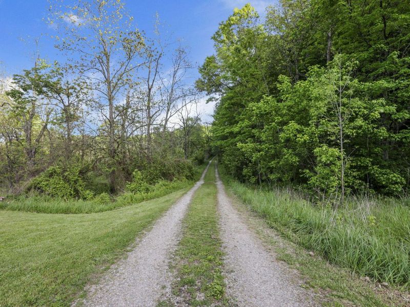 14745 Dutch Creek Road , Athens, OH 45701 Photo 4