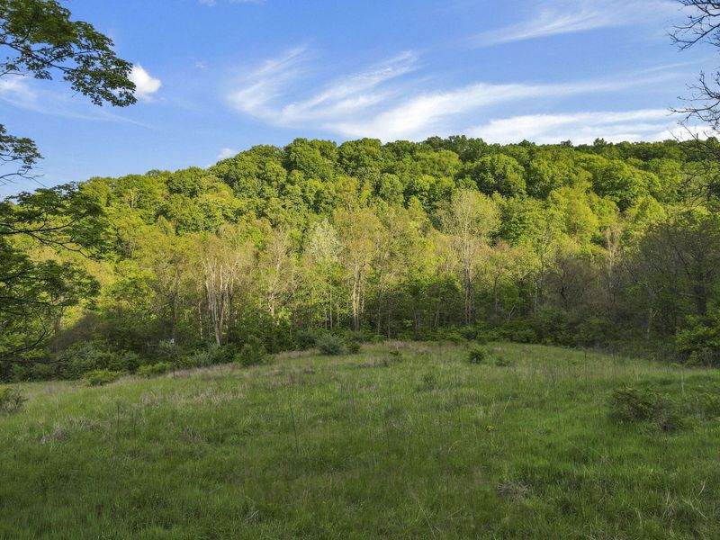 14745 Dutch Creek Road , Athens, OH 45701 Photo 4