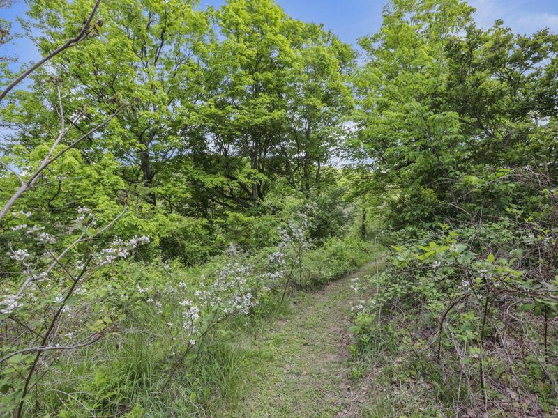 14745 Dutch Creek Road , Athens, OH 45701 Photo 47