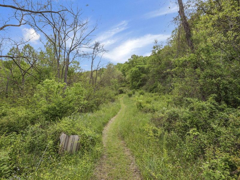 14745 Dutch Creek Road , Athens, OH 45701 Photo 47