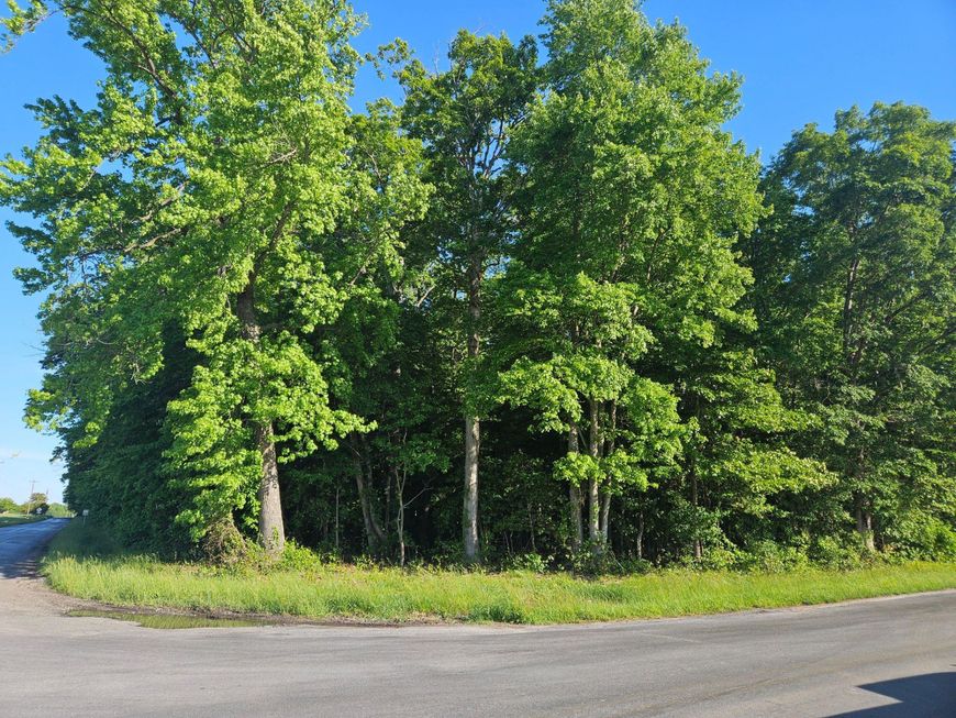 Lot 1 E Sunset Avenue , Greensboro, MD 21639 Main Photo