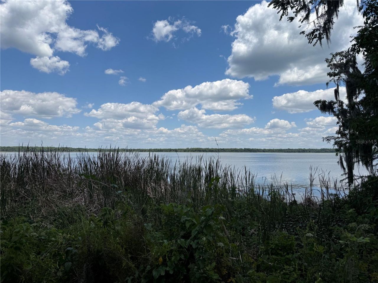4232 County Road 400, Lake Panasoffkee, FL 33538 Photo