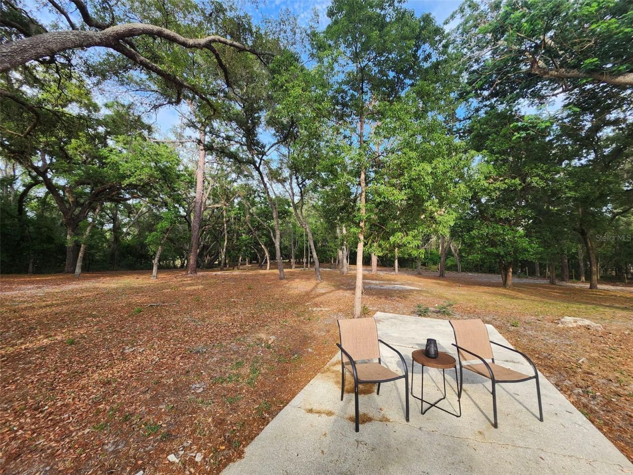 15614 Renee Lane , Hudson, FL 34669 Photo