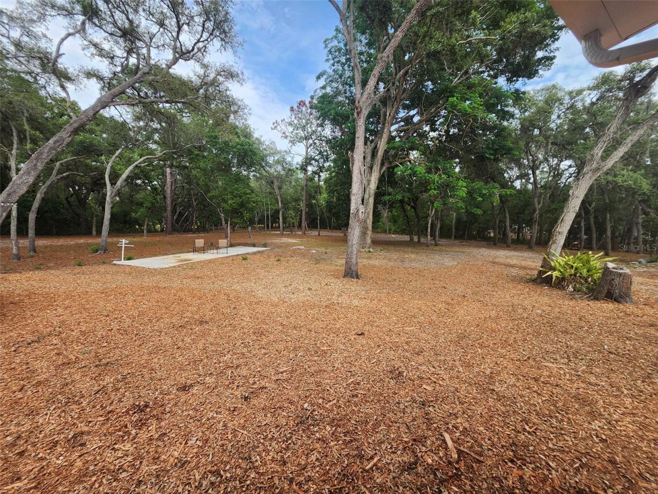 15614 Renee Lane , Hudson, FL 34669 Photo