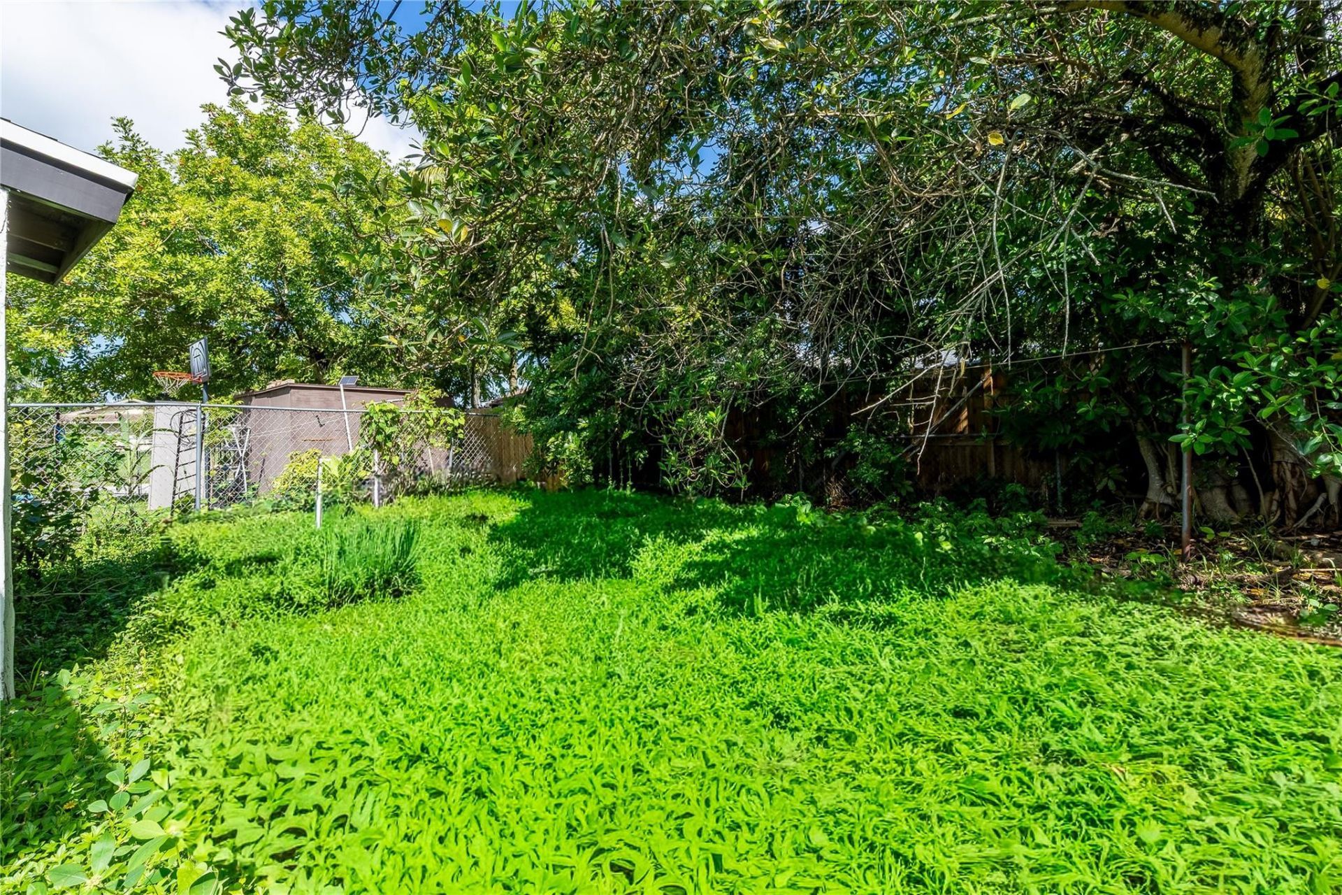 2941 NW 11th Court, Fort Lauderdale, FL 33311 Photo