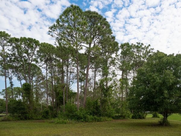 10638 Sugar Pine Drive, Fort Pierce, FL 34945