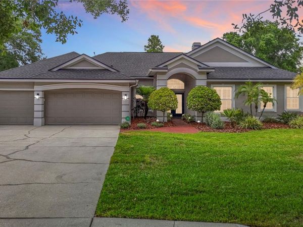 19128 CENTRE ROSE BOULEVARD , LUTZ, FL 33558
